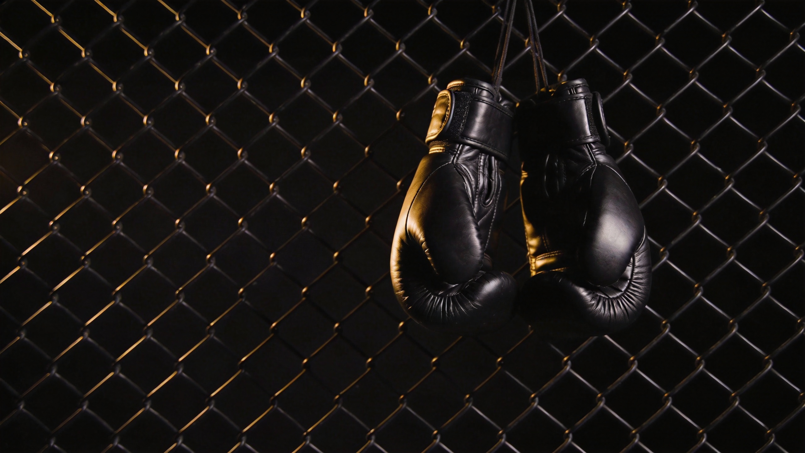 The 10 Fastest Fighters in MMA